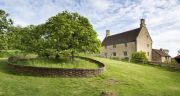 Sir Isaac Newton’s apple tree